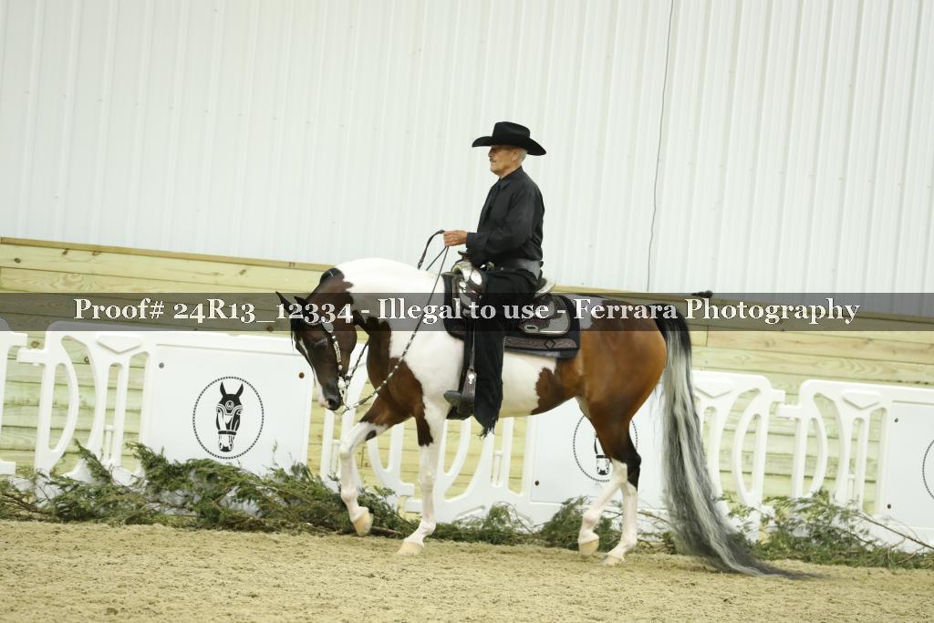Proof 24R13_12334