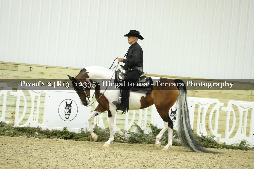 Proof 24R13_12335