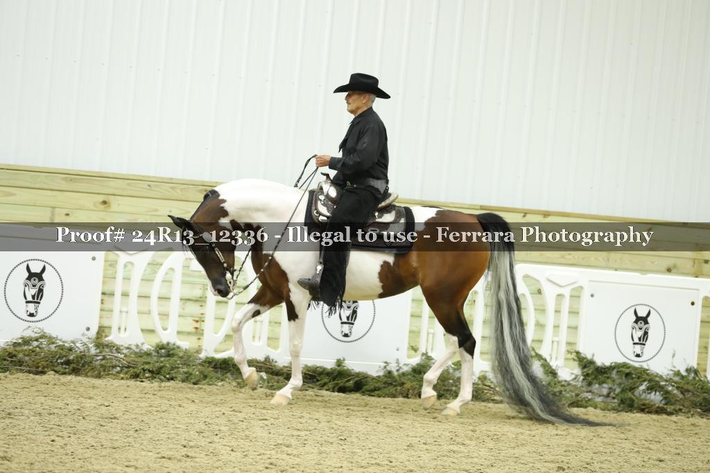 Proof 24R13_12336