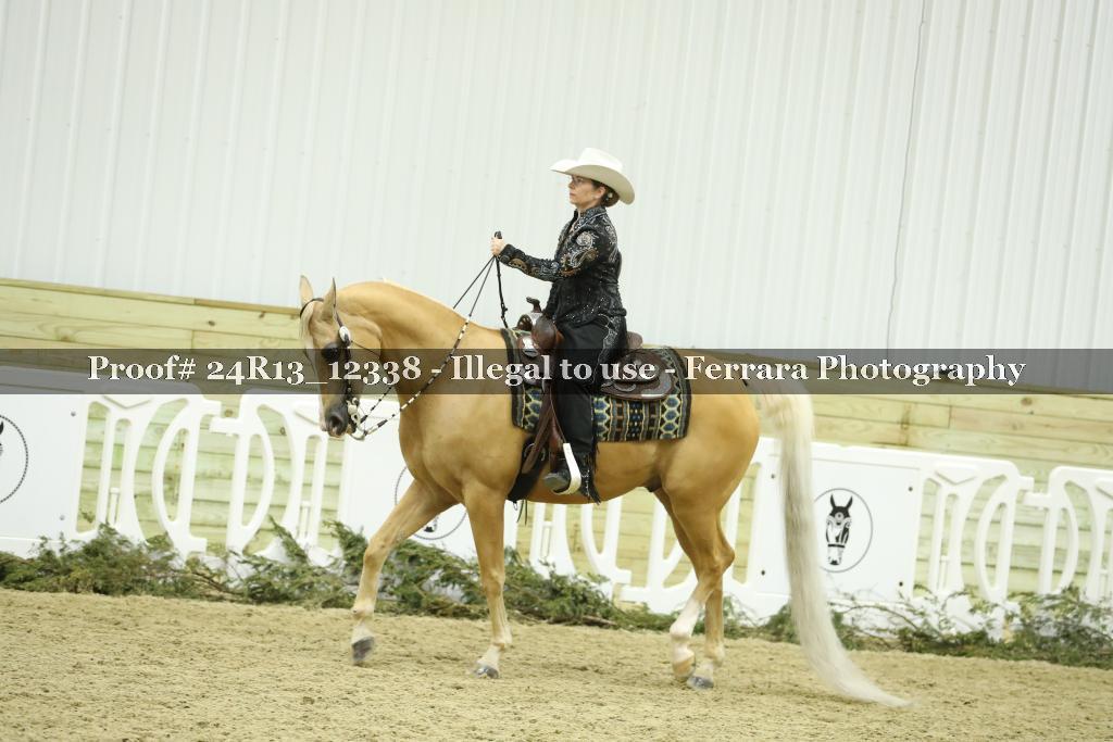 Proof 24R13_12338