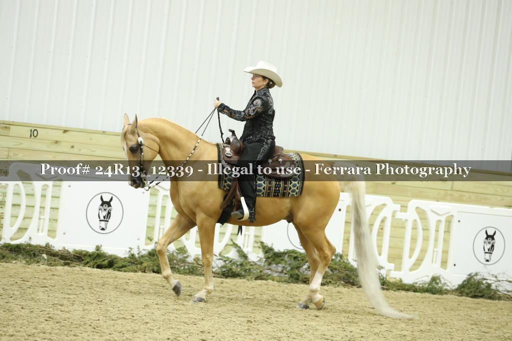 Proof 24R13_12339