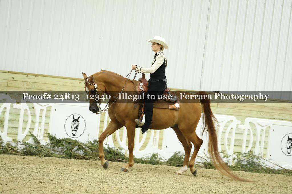 Proof 24R13_12340
