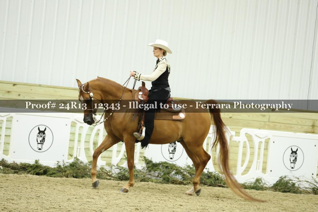 Proof 24R13_12343