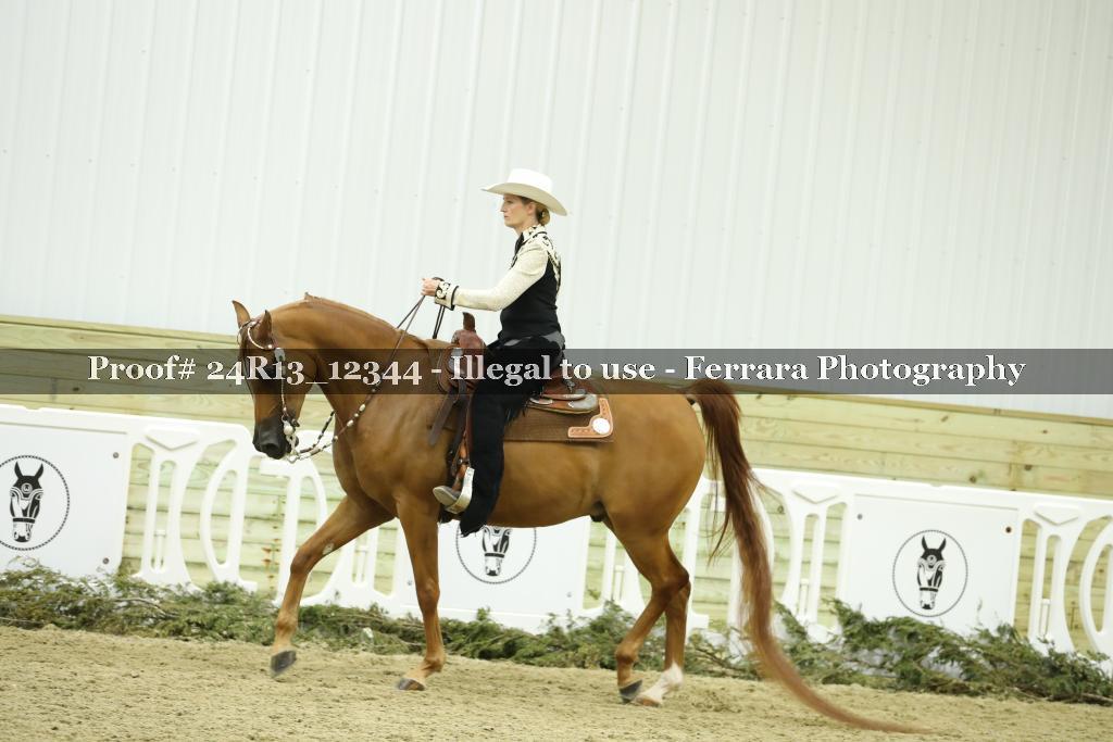 Proof 24R13_12344