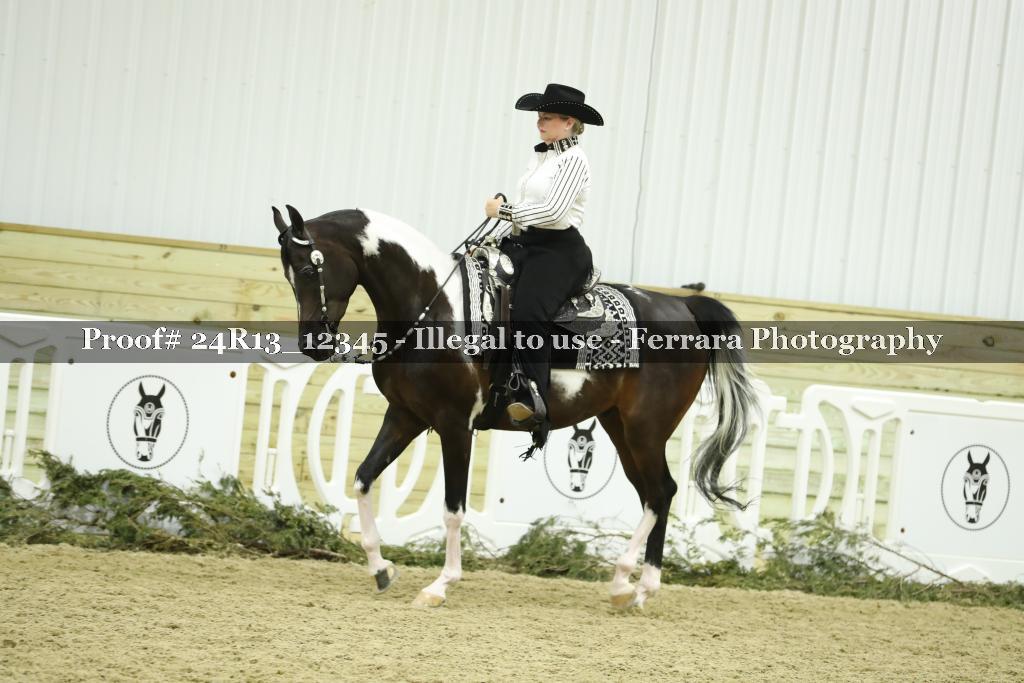 Proof 24R13_12345