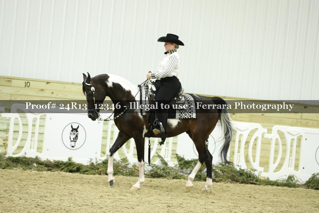 Proof 24R13_12346