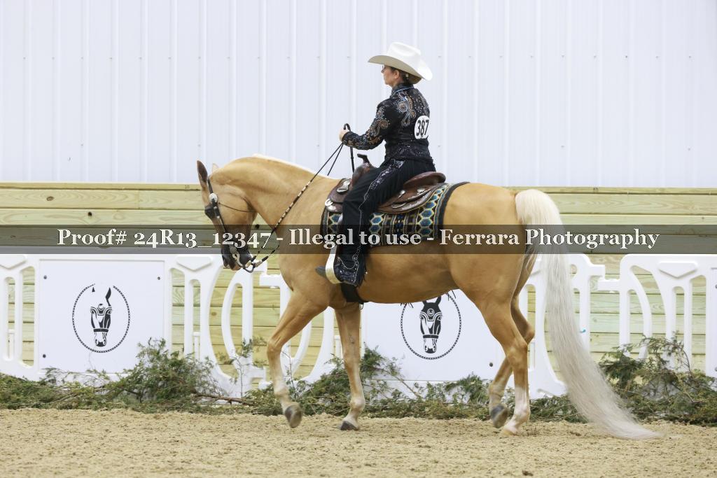 Proof 24R13_12347