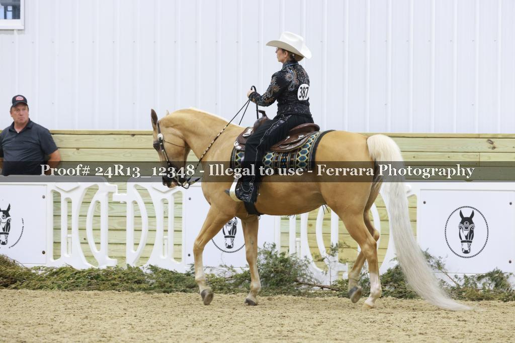 Proof 24R13_12348