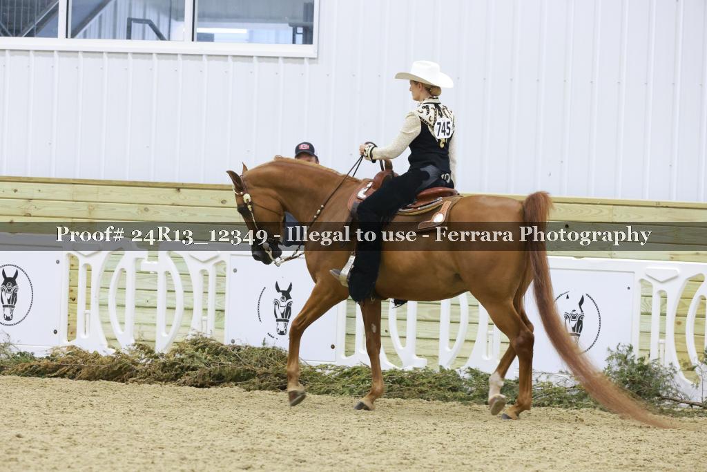 Proof 24R13_12349