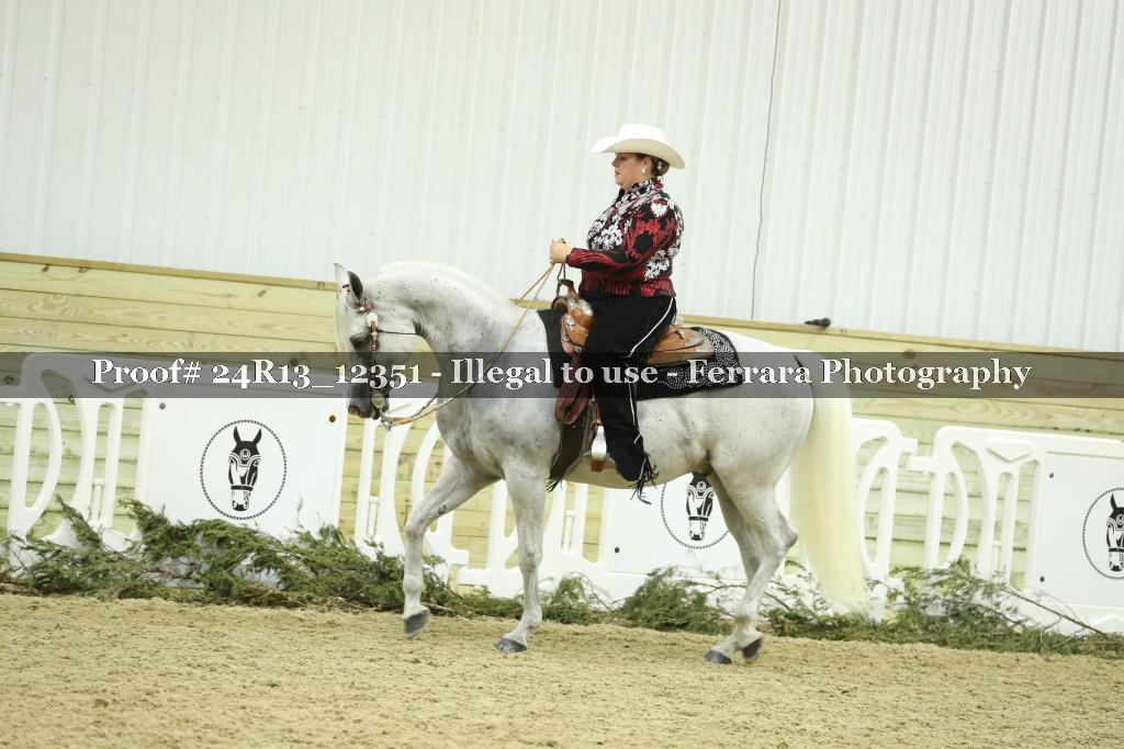 Proof 24R13_12351