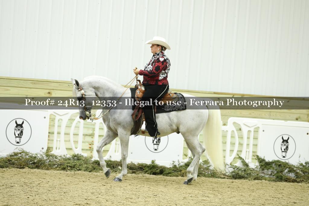 Proof 24R13_12353