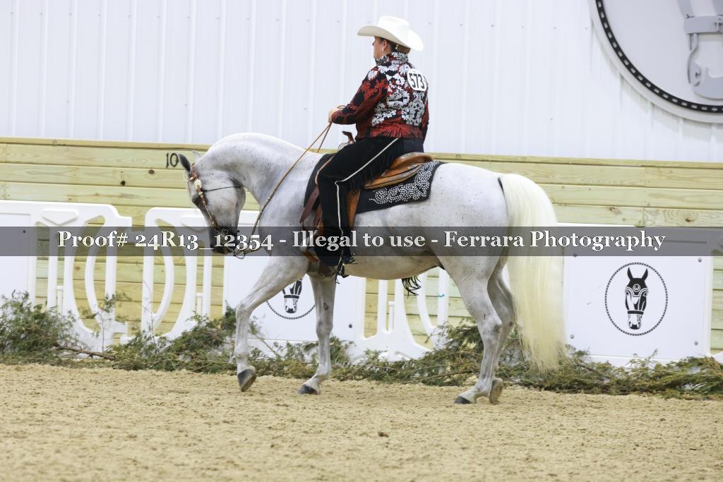 Proof 24R13_12354