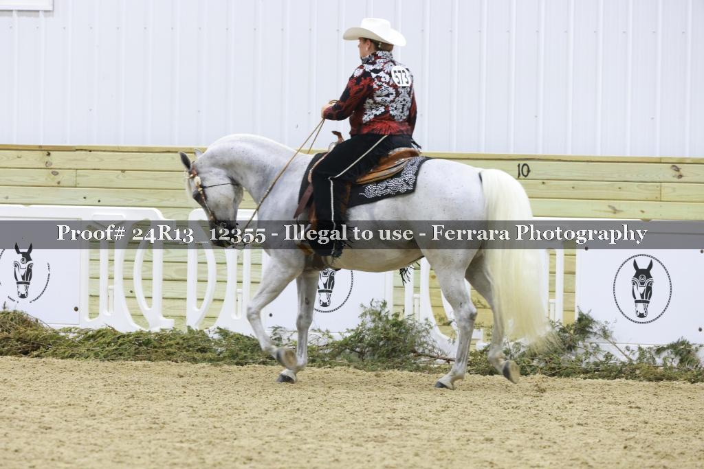 Proof 24R13_12355