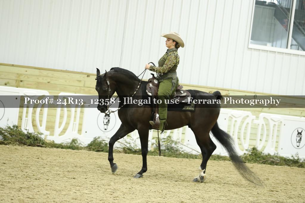 Proof 24R13_12358