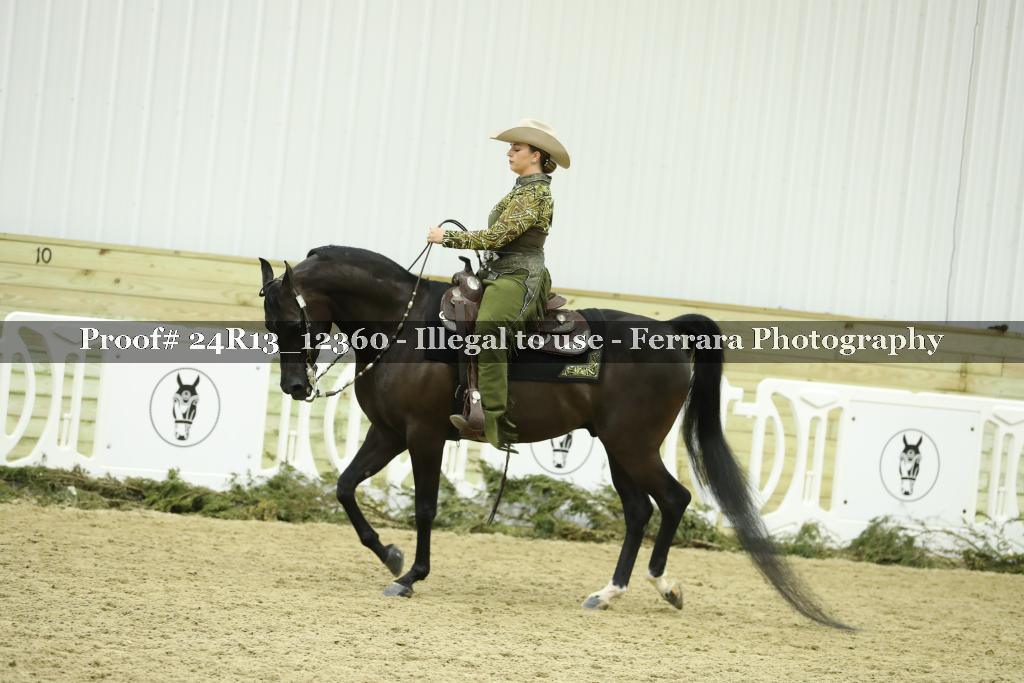 Proof 24R13_12360