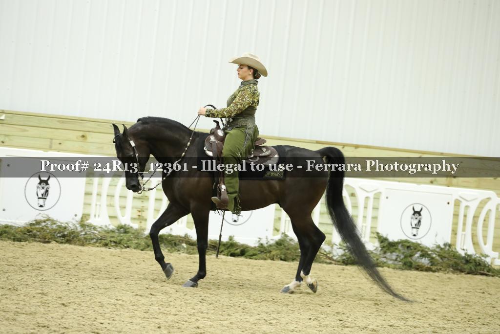 Proof 24R13_12361