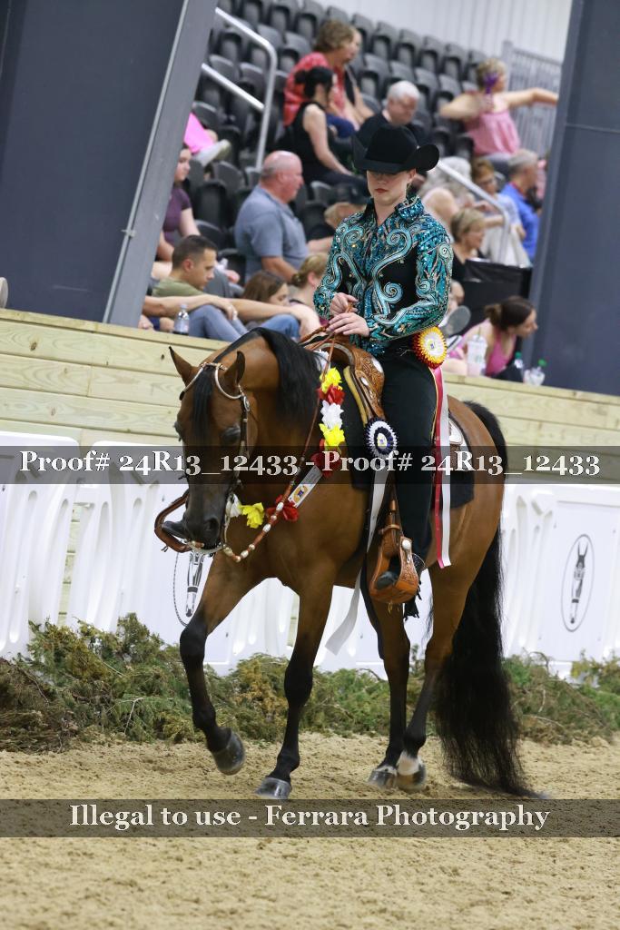 Proof 24R13_12433