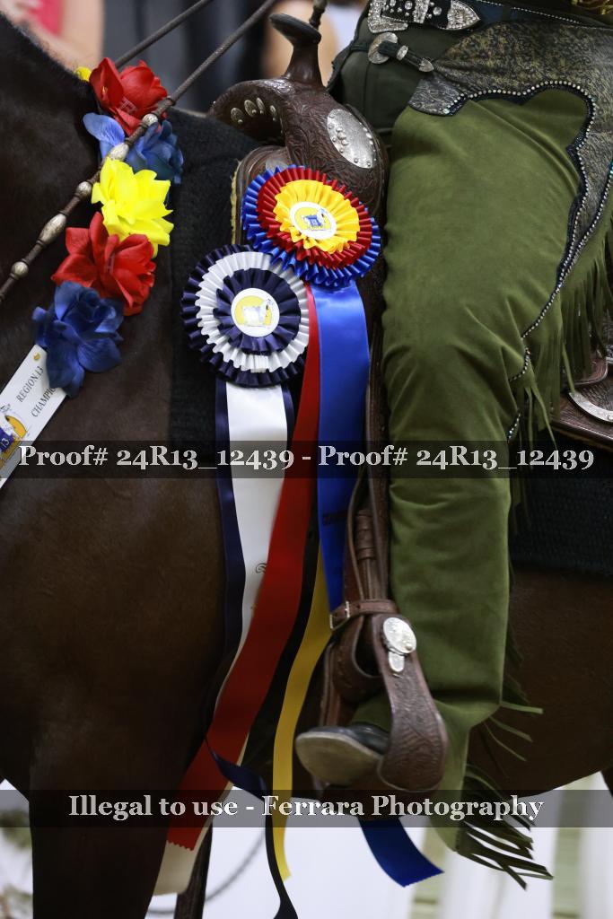 Proof 24R13_12439