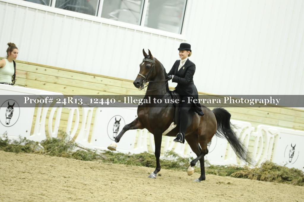 Proof 24R13_12440