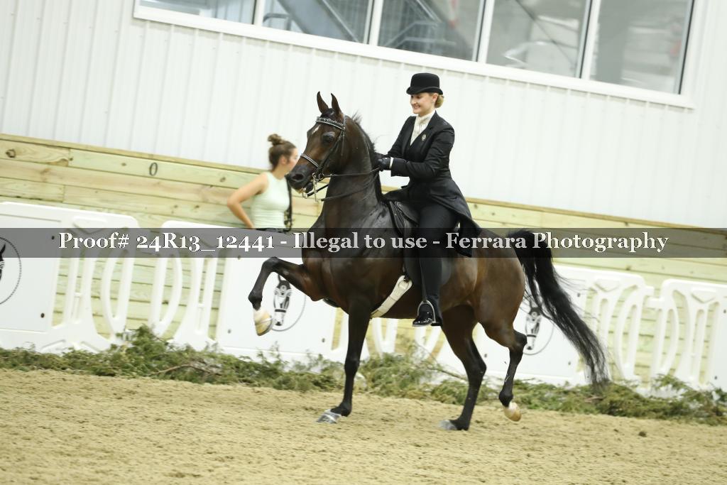 Proof 24R13_12441