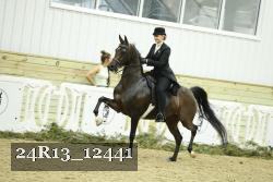 24R13_12441 proof