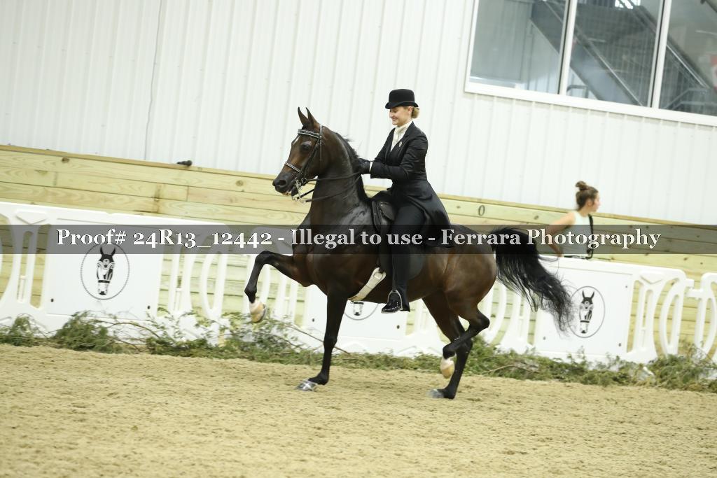 Proof 24R13_12442
