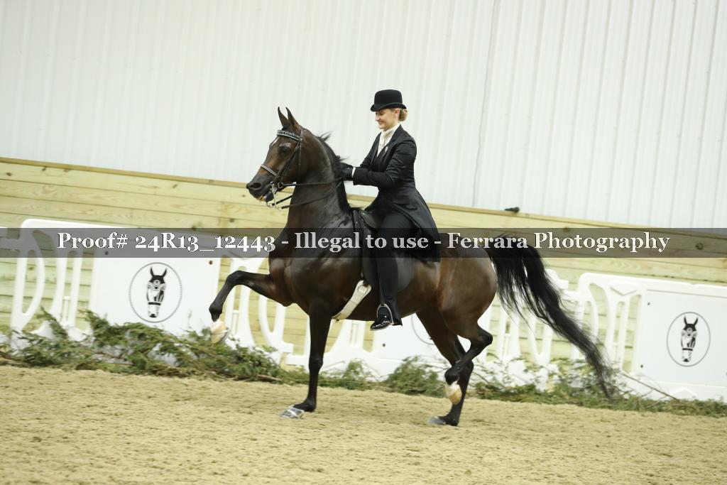 Proof 24R13_12443