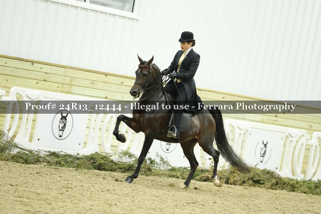 Proof 24R13_12444