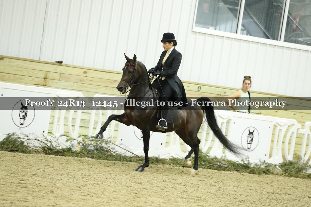 Proof 24R13_12445