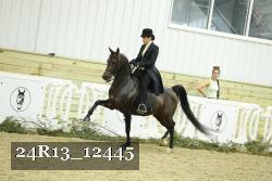 24R13_12445 proof