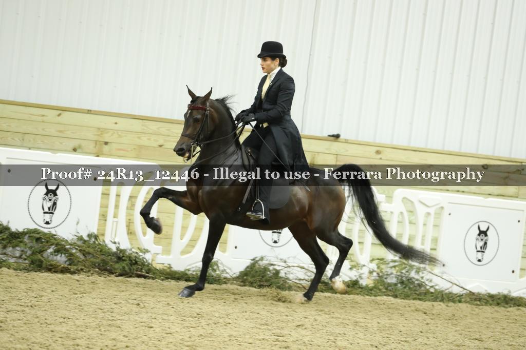Proof 24R13_12446