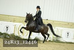 24R13_12446 proof