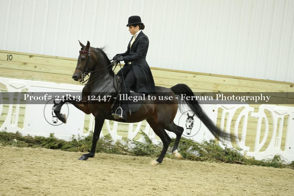 Proof 24R13_12447