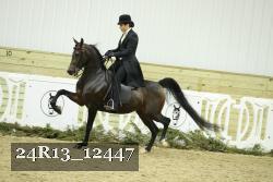24R13_12447 proof