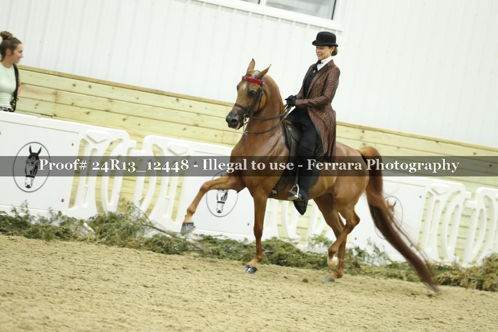 Proof 24R13_12448