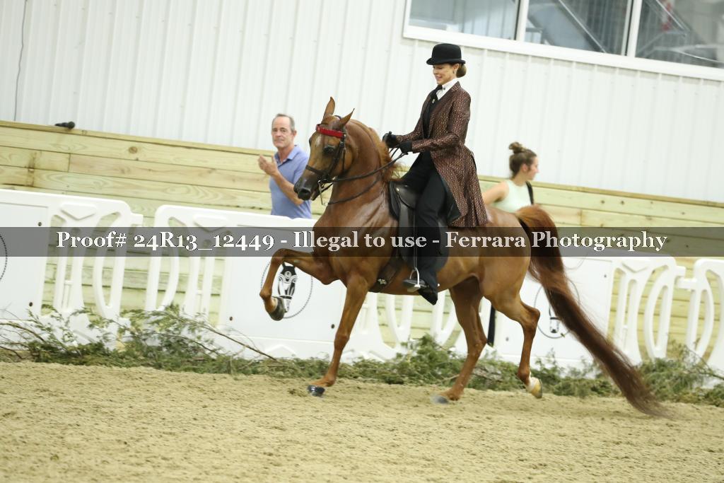 Proof 24R13_12449