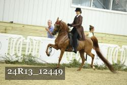 24R13_12449 proof
