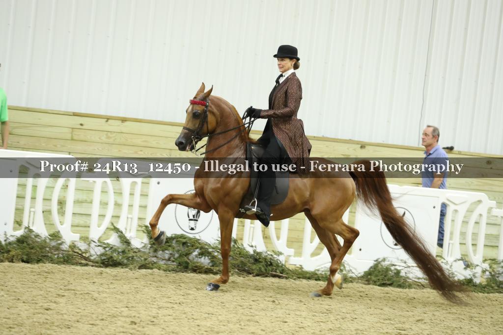 Proof 24R13_12450
