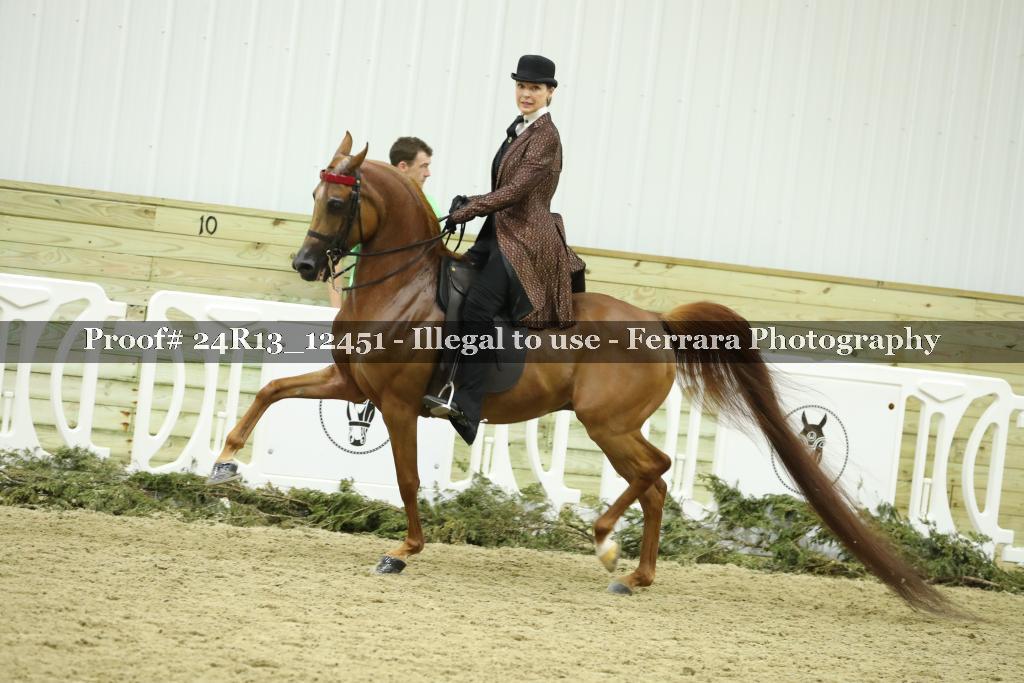 Proof 24R13_12451