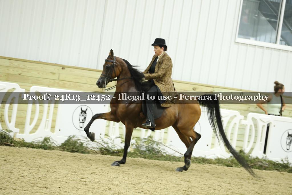 Proof 24R13_12452
