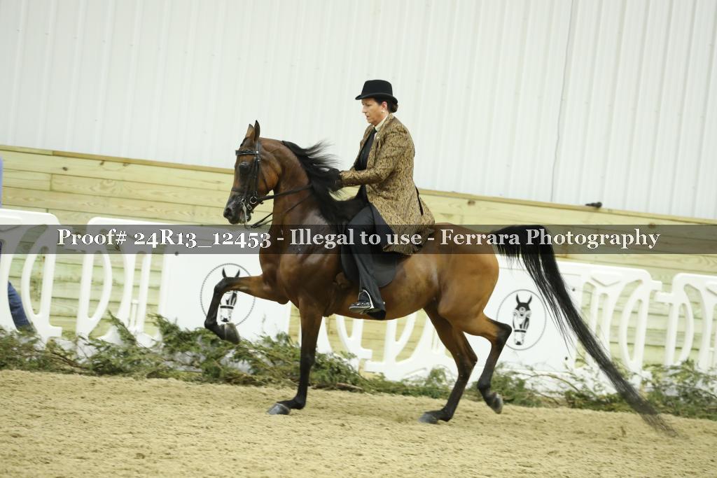 Proof 24R13_12453