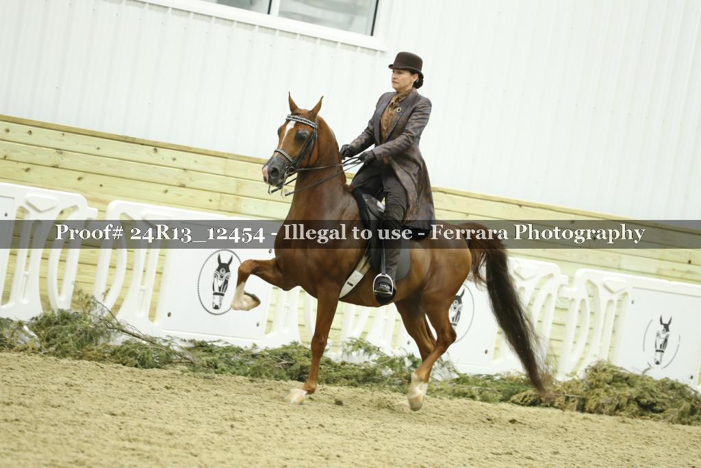 Proof 24R13_12454