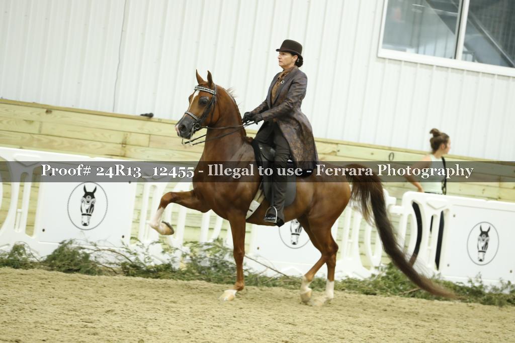 Proof 24R13_12455
