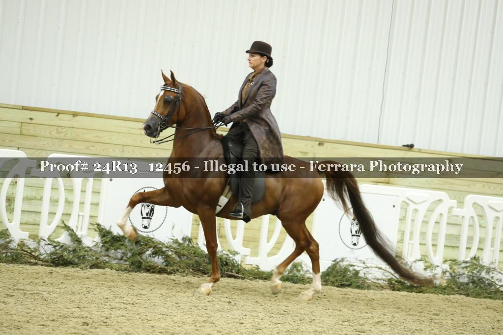 Proof 24R13_12456