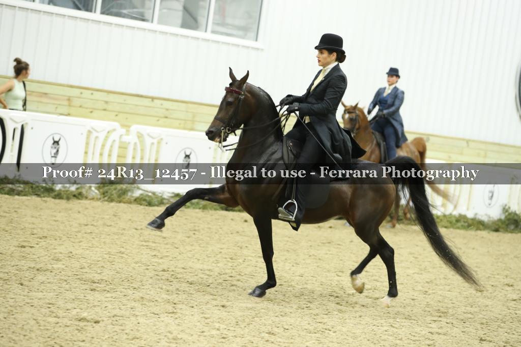 Proof 24R13_12457