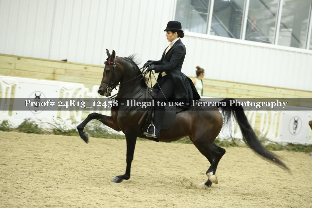 Proof 24R13_12458