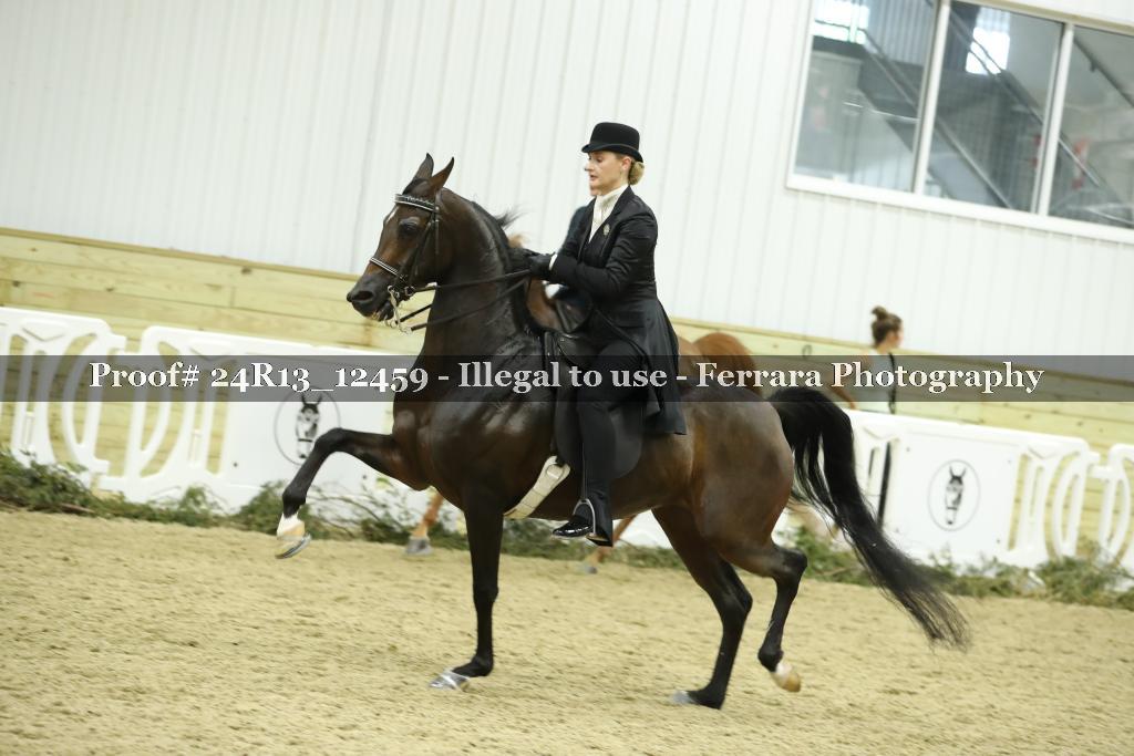 Proof 24R13_12459