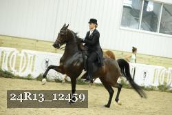 24R13_12459 proof