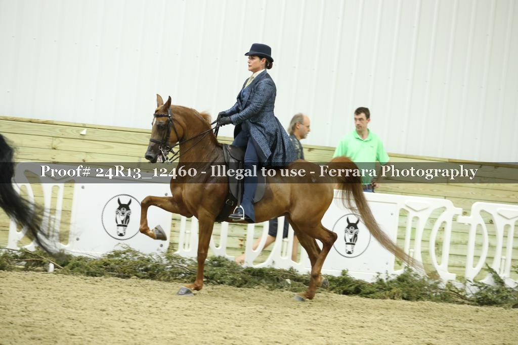 Proof 24R13_12460
