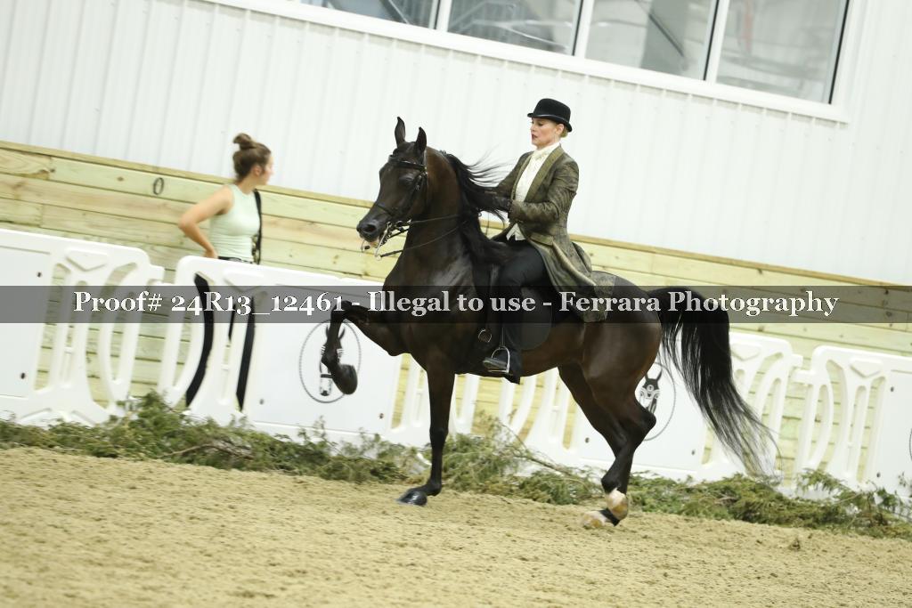 Proof 24R13_12461